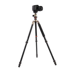Trépied portable réglable en aluminium Triopo MT-2504C avec rotule NB-1S pour appareils photo reflex numériques Canon, Nikon et Sony, MT-2504C (noir), MT-2504C (or)