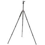 Trépied portable réglable en aluminium Triopo MT-2504C avec rotule NB-1S pour appareils photo reflex numériques Canon, Nikon et Sony, MT-2504C (noir), MT-2504C (or)