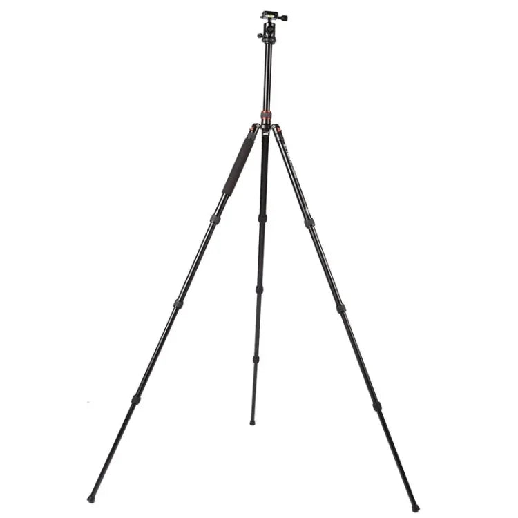 Trépied portable réglable en aluminium Triopo MT-2504C avec rotule NB-1S pour appareils photo reflex numériques Canon, Nikon et Sony, MT-2504C (noir), MT-2504C (or)