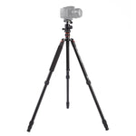 Trépied portable réglable en aluminium Triopo MT-2504C avec rotule NB-1S pour appareils photo reflex numériques Canon, Nikon et Sony, MT-2504C (noir), MT-2504C (or)