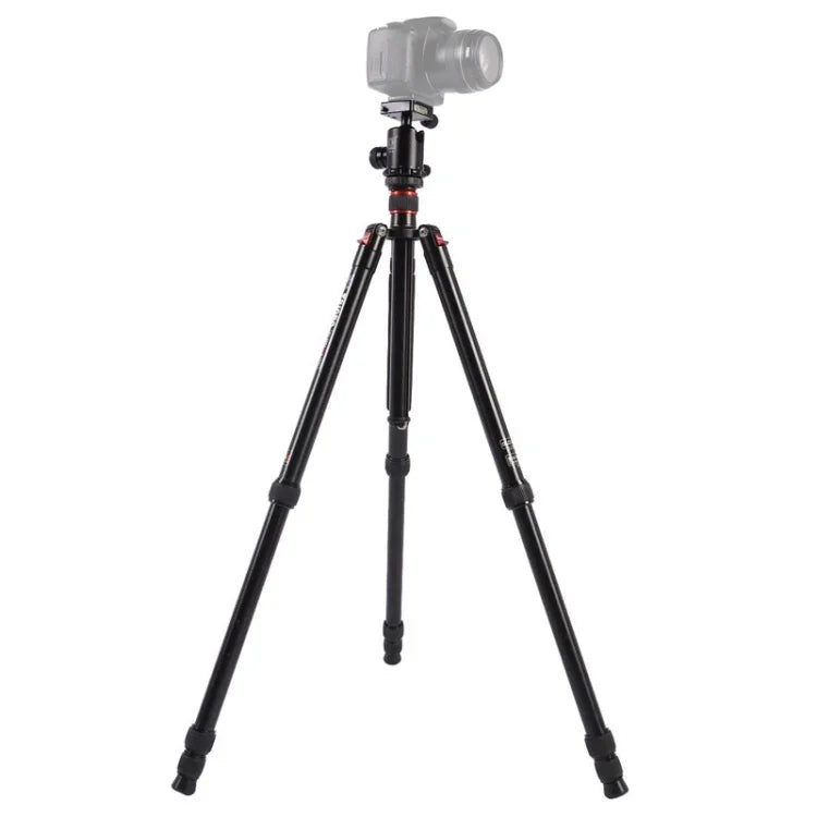 Trépied portable réglable en aluminium Triopo MT-2804C avec rotule NB-2S pour appareils photo reflex numériques Canon, Nikon et Sony, MT-2804C (noir), MT-2804C (or)