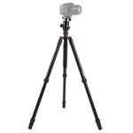 Trépied portable réglable en aluminium Triopo MT-2804C avec rotule NB-2S pour appareils photo reflex numériques Canon, Nikon et Sony, MT-2804C (noir), MT-2804C (or)