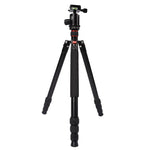 Trépied portable réglable en aluminium Triopo MT-2804C avec rotule NB-2S pour appareils photo reflex numériques Canon, Nikon et Sony, MT-2804C (noir), MT-2804C (or)