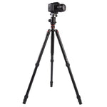 Trépied portable réglable en aluminium Triopo MT-2804C avec rotule NB-2S pour appareils photo reflex numériques Canon, Nikon et Sony, MT-2804C (noir), MT-2804C (or)