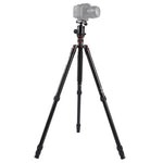 Trépied portable réglable en aluminium Triopo MT-2804C avec rotule NB-2S pour appareils photo reflex numériques Canon, Nikon et Sony, MT-2804C (noir), MT-2804C (or)