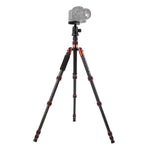 Trépied portable réglable en fibre de carbone Triopo GT-2505x8.C avec rotule en aluminium B-1 pour appareils photo reflex numériques Canon, Nikon et Sony, GT-2505x8.C (noir), GT-2505x8.C (or)