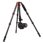 Trépied portable réglable en fibre de carbone Triopo GT-2505x8.C avec rotule en aluminium B-1 pour appareils photo reflex numériques Canon, Nikon et Sony, GT-2505x8.C (noir), GT-2505x8.C (or)
