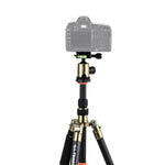 Trépied portable réglable en fibre de carbone Triopo GT-2505x8.C avec rotule en aluminium B-1 pour appareils photo reflex numériques Canon, Nikon et Sony, GT-2505x8.C (noir), GT-2505x8.C (or)