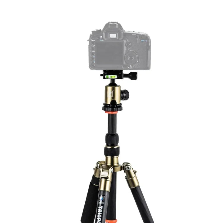 Trépied portable réglable en fibre de carbone Triopo GT-2505x8.C avec rotule en aluminium B-1 pour appareils photo reflex numériques Canon, Nikon et Sony, GT-2505x8.C (noir), GT-2505x8.C (or)