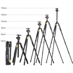 Trépied monopode portable professionnel ZOMEI Z688 en alliage de magnésium avec rotule pour appareil photo numérique, Z688