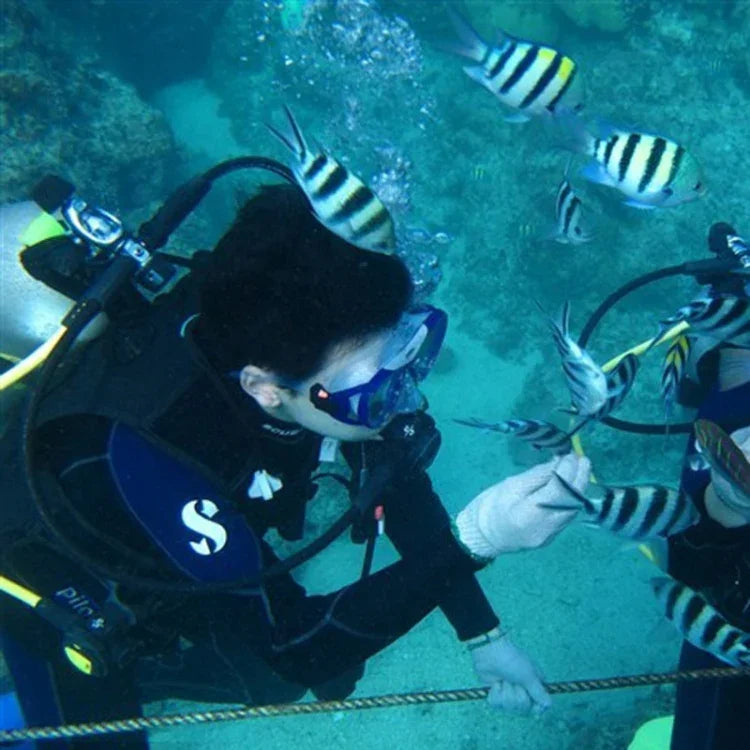 Équipement de plongée pour sports nautiques : masque et lunettes de natation compatibles avec GoPro, Insta360, DJI et autres caméras d'action.