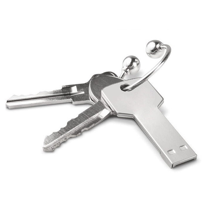 Clé USB porte-clés 2GB, 1GB, 2GB, 4GB, 8GB