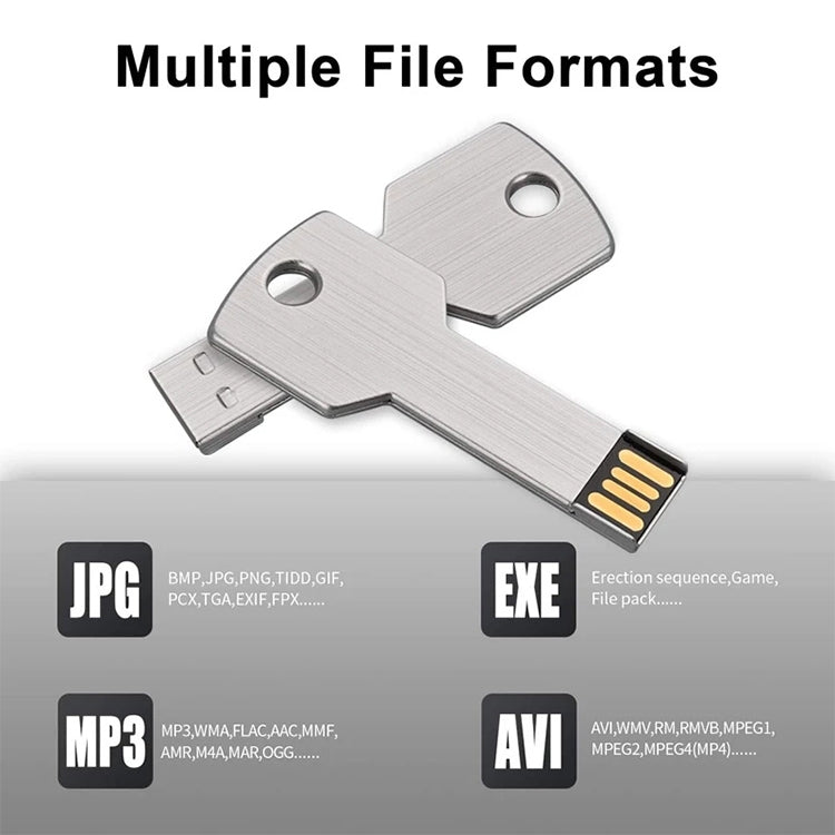 Clé USB porte-clés 2GB, 1GB, 2GB, 4GB, 8GB
