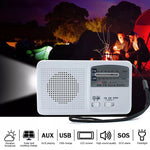 Lampe de poche LED solaire / dynamo portable multifonction avec radio AM/FM et chargeur de téléphone mobile, RD369