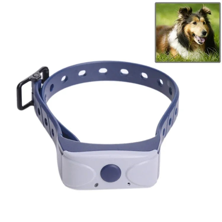 Collier de dressage anti-aboiement automatique pour chiens, BC001
