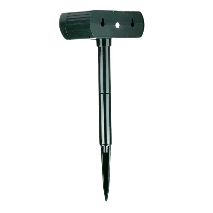 Texte alternatif de l'image