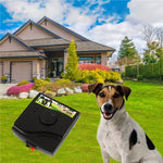 Système de collier de dressage électrique W-227 pour chien et chat, W-227