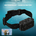 Système de collier de dressage électrique W-227 pour chien et chat, W-227