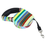 Laisse rétractable et flexible pour chien, facile à utiliser, style bande de couleur 5 m
