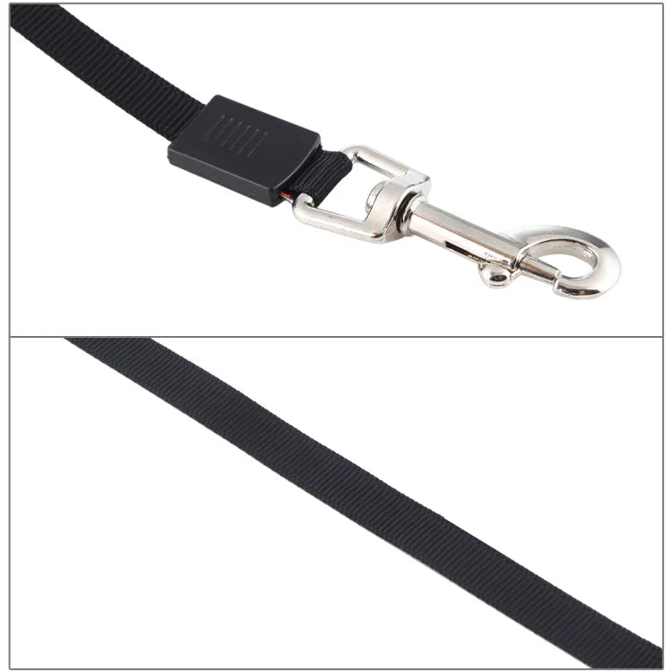 Laisse rétractable et flexible pour chien, facile à utiliser, style bande de couleur 5 m