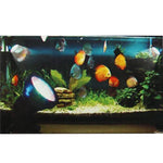 Lumière colorée pour aquarium 36 LED amphibie, profondeur d'étanchéité : 1-1,5 m