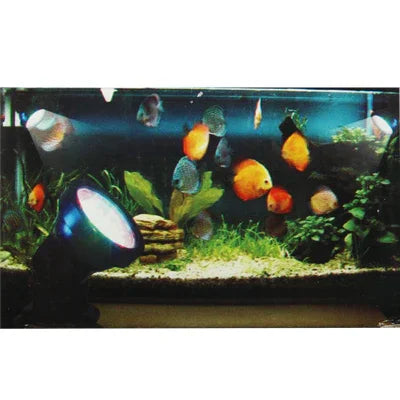 Lumière colorée pour aquarium 36 LED amphibie, profondeur d'étanchéité : 1-1,5 m