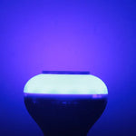 Bluetooth, prend en charge le contrôle du téléphone WiFi, lumière réglable, avec télécommande
