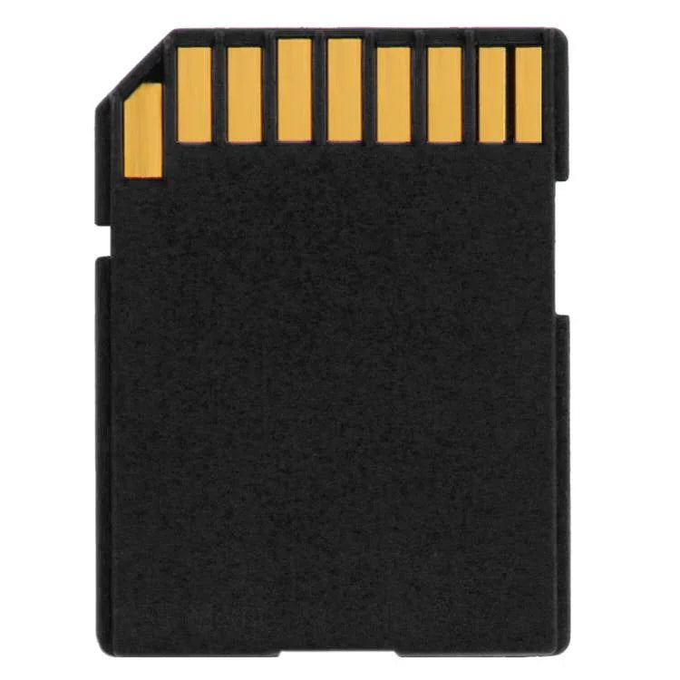 Carte mémoire SDHC haute vitesse de classe 10 de 4 Go (capacité réelle à 100 %), 4 Go