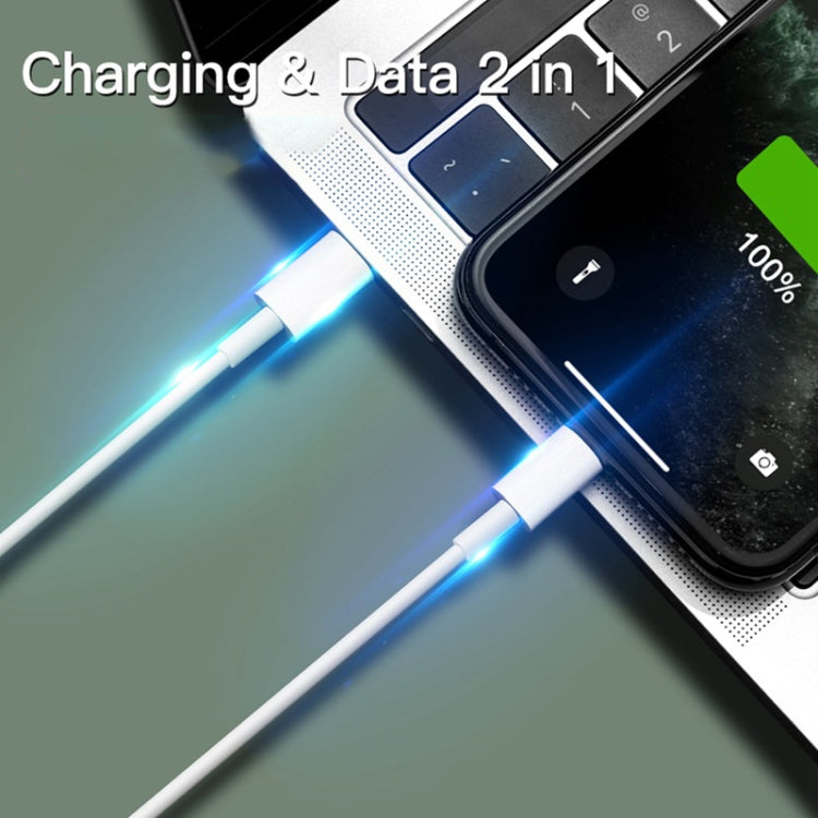 Câble de données USB-C / Type-C 3.1 mâle vers 8 broches mâle, longueur du câble : 1 m