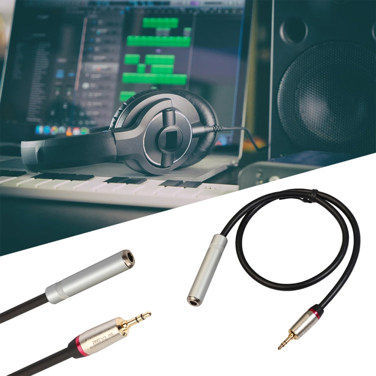 Câble adaptateur audio REXLIS TC128MF mâle 3,5 mm vers femelle 6,5 mm, longueur : 60 cm