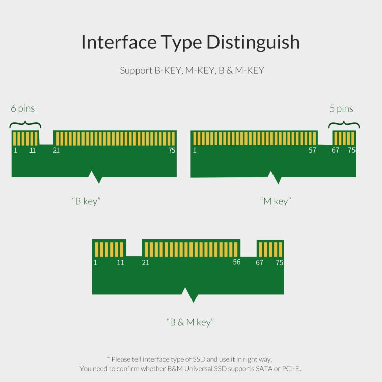 Carte d'extension ORICO PDM2 M.2 NVME vers PCI-E 3.0 X4