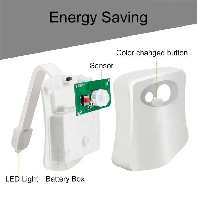 Veilleuse de toilettes à détecteur de mouvement YouOKLight, éclairage LED pour toilettes et salle de bain