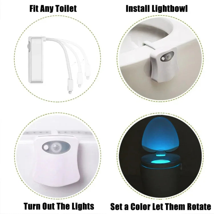 Veilleuse de toilettes à détecteur de mouvement YouOKLight, éclairage LED pour toilettes et salle de bain