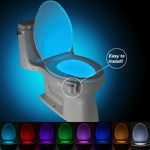 Veilleuse de toilettes à détecteur de mouvement YouOKLight, éclairage LED pour toilettes et salle de bain
