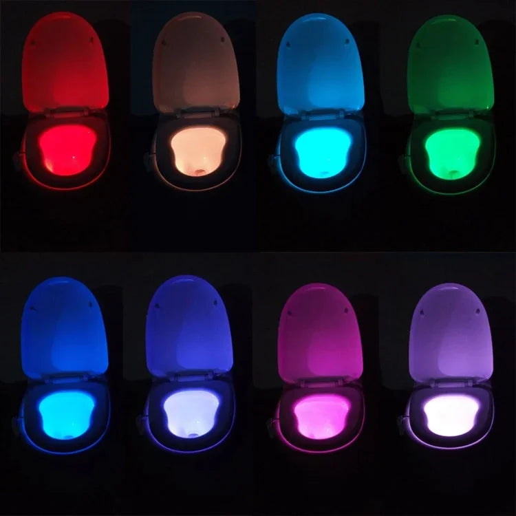 Veilleuse de toilettes à détecteur de mouvement YouOKLight, éclairage LED pour toilettes et salle de bain