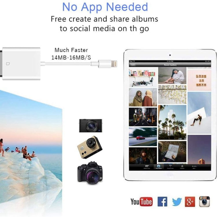 ZS-KL21810 Adaptateur de lecteur de carte appareil photo SD 8 broches, compatible avec tous les systèmes iOS, fente pour carte SD