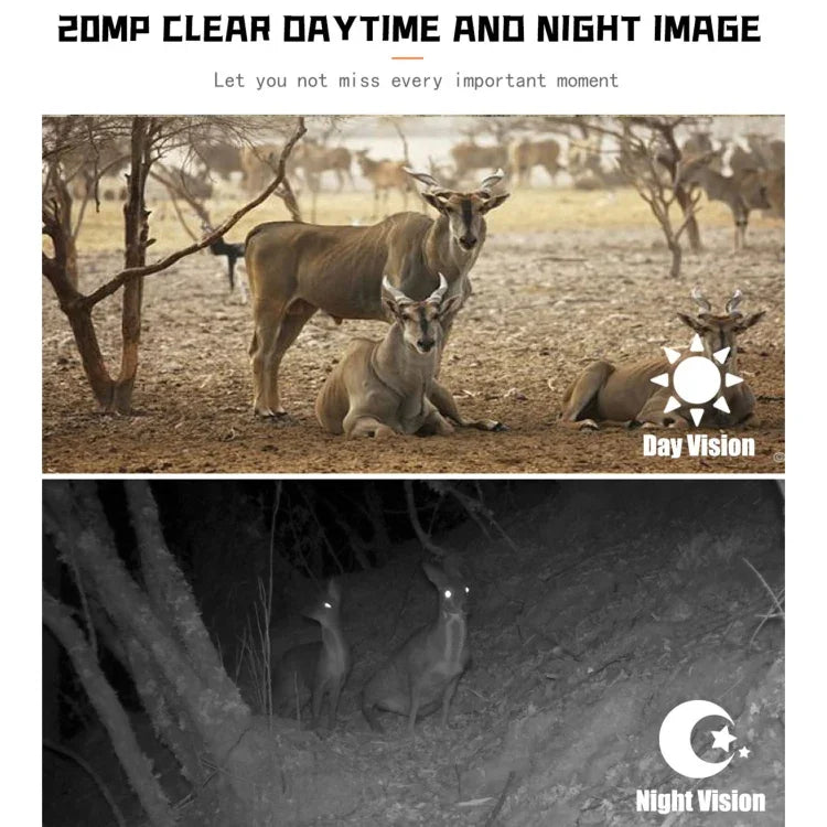 Caméra de chasse faune PR700 1080P, enregistreur vidéo activé par mouvement avec vision nocturne pour suivi extérieur, déclencheur de scan, PR700