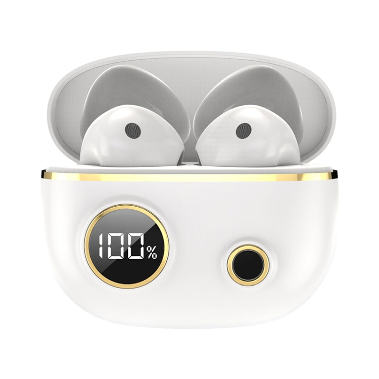 نص بديل للصورة