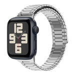 Bracelet de montre en métal d'acier inoxydable magnétique en bambou, Pour Apple Watch SE 2023 44mm, Pour Apple Watch SE 2023 40mm, Pour Apple Watch Ultra 2 49mm, Pour Apple Watch Series 9 45mm, Pour Apple Watch Series 9 41mm, Pour Apple Watch Ultra 49mm