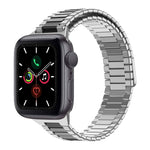 Bracelet de montre en acier inoxydable magnétique en bambou, pour Apple Watch Series 6 40mm, pour Apple Watch Series 6 44mm, pour Apple Watch Series 5 44mm, pour Apple Watch Series 5 40mm, pour Apple Watch Series 4 44mm, pour Apple Watch Series 4 40mm