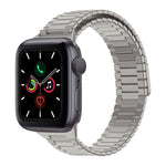 Bracelet de montre en acier inoxydable magnétique en bambou, pour Apple Watch Series 6 40mm, pour Apple Watch Series 6 44mm, pour Apple Watch Series 5 44mm, pour Apple Watch Series 5 40mm, pour Apple Watch Series 4 44mm, pour Apple Watch Series 4 40mm