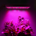 Éclairage complet spectre 45W 144 LED pour plantes, fitolampe pour plantes, fleurs, semis, culture, lampes de croissance LED AC85-265V, US, EU, AU, UK
