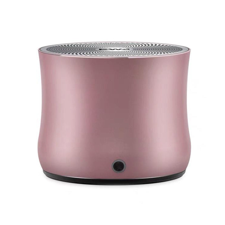 EWA A2 Pro Haut-Parleur Métal Portable Extérieur Étanche Bluetooth Son Basses