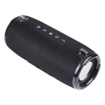Enceinte portable colonne T&G TG125 20W Enceinte Bluetooth Lecteur de musique Haut-parleurs avec radio FM Aux TF Subwoofer Bass