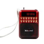 Haut-parleur récepteur radio FM portable rechargeable, support USB / carte TF / lecteur MP3