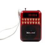 Haut-parleur récepteur radio FM portable rechargeable, support USB / carte TF / lecteur MP3