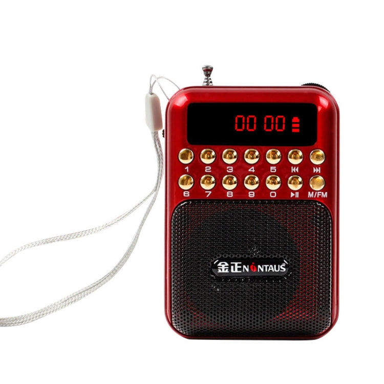 Haut-parleur récepteur radio FM portable rechargeable, support USB / carte TF / lecteur MP3