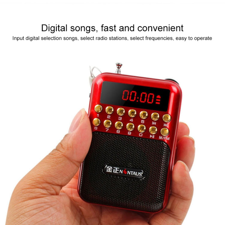 Haut-parleur récepteur radio FM portable rechargeable, support USB / carte TF / lecteur MP3
