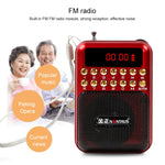 Haut-parleur récepteur radio FM portable rechargeable, support USB / carte TF / lecteur MP3