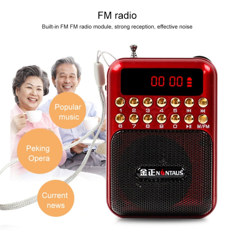 Haut-parleur récepteur radio FM portable rechargeable, support USB / carte TF / lecteur MP3